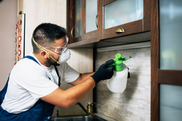 Best Wasp Removal Services  in Metter, GA