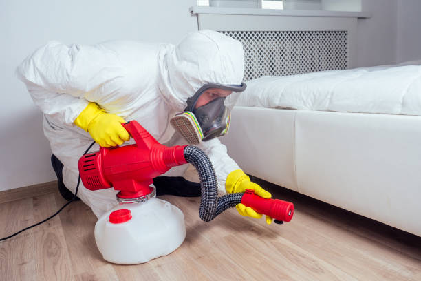 Best Rat Extermination Near Me  in Metter, GA