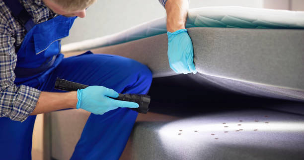 Best Mosquito Control Services  in Metter, GA