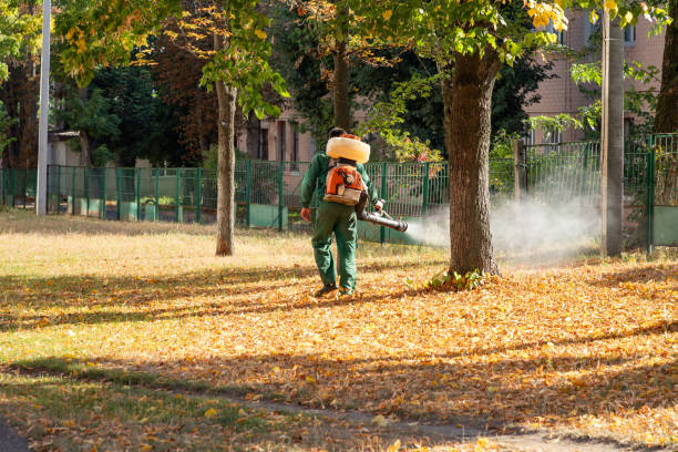 Pest Control Cost in Metter, GA