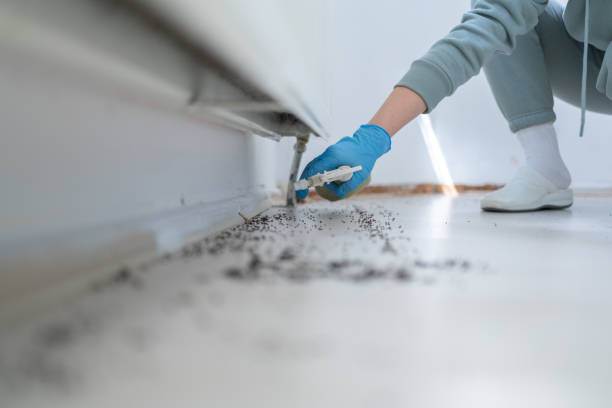 Best Exterminator Services  in Metter, GA