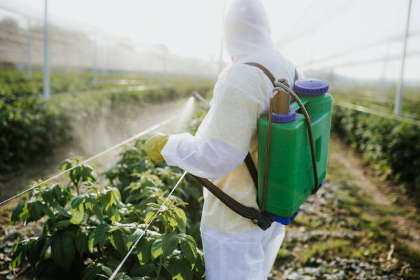 Best Residential Pest Control  in Metter, GA
